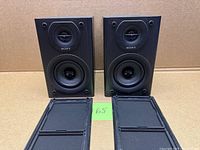 Front view of both Sony SS-SBT100 speakers with grilles removed