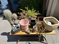 View of assorted potted plants including two cactus, flowering plant, and multiple ceramic pots arranged on small wooden table with metal legs outdoors in sunlight.