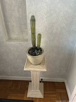 Front view of the real cacti in ceramic pot on white Roman column plant stand against a light grey wall.