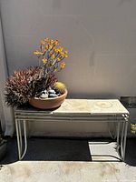 Full view of metal outdoor table with terracotta pot holding succulent plants including flowering succulent, cactus, and reddish spiky succulents