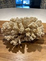 Top-down view of large natural coral specimen on wooden surface, showing dense branching and overall off-white tone.