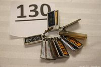 Miniature license plates linked by ball chain, showing various colors and worn conditions.