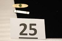 Overview of both tie clips against black background with lot number card