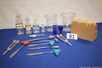 Photo showing five reflex hammers, four bottles including a cobalt eyewash bottle and an unmarked cobalt jar, three beakers, and a box of 40 test tubes with corks.
