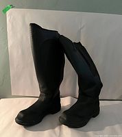 Pair of black tall boots standing side by side showing overall shape, height and exterior finish, minor scuffing visible on toe areas.