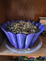 Photo of a large purple flower pot shaped like a scalloped flower, filled with soil, small succulents, and decorative pebbles, placed on a wooden shelf.