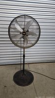 Full view of HDX metal pedestal fan standing on concrete floor against metal shutter background.