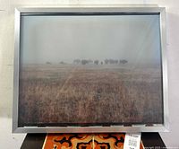 Framed color photograph showing a group of bison standing in a foggy field, image approx. 16 x 20 inches, in a simple silver frame.