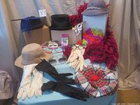 Full view of assortment including hats, gloves, feather boas, eyeglasses and false eyelashes.
