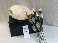 Large decorative natural conch shell placed on a black textured box alongside several mother of pearl flower stems with pink and cream petals.