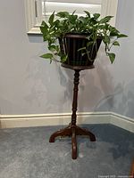 Full view of wooden plant stand holding a leafy plant, showing overall height and style