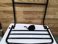 Overall view of black steel bed rail with safety strap
