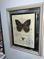 Framed mid century modern art piece by Chad Barrett featuring a large butterfly and honeybee illustration on cream paper with decorative script.