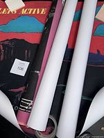 Photo of 4 rolled posters and tubes laid out showing partial artwork and colors