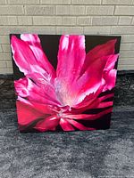 Canvas wall art of a large pink flower with vivid pink and white petals against a black background.