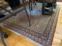 Full view of Persian style area rug with visible detailed floral and geometric traditional patterns under furniture.