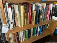 Two shelves of assorted books