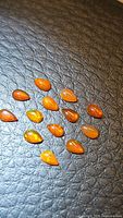 Close-up photo of 15 pear-shaped polished cabochon fire opals laid out on textured black background, showing vibrant fiery orange color with multicolored internal flashes in each stone.