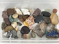 Multiple minerals and stones in a plastic container, various shapes, colors, and textures visible