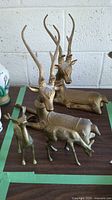 Four brass deer figurines arranged on a table with two sitting and two standing.