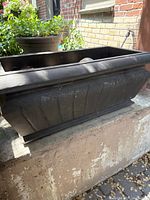 Side angle showing the black fibreglass planter with fluted design and thick rim.