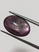 Oval cabochon star ruby gemstone held by tweezers showing surface star pattern and coloration.