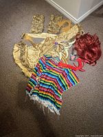 Overview photo showing all costume pieces including lion costume components, devil wig and gloves, and colorful poncho, laid on carpet floor