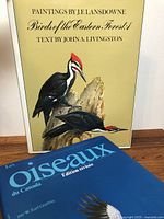 Photo of 'Birds of the Eastern Forest: 1' book cover with detailed bird paintings and 'Les Oiseaux du Canada' French book with blue cover.
