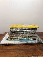 Stack of children's books including 'Dog to Chick', 'A House for Hermit Crab', 'Animalia' and several others stacked horizontally.