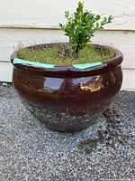 Photo of large brown ceramic garden pot with small green plant and moss inside, placed on outdoor concrete surface against a white wall, front view