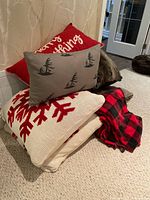 Stack of four pillows and plaid throw on floor