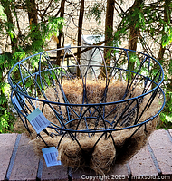 Photo of black metal wire hanging basket with coir liner inside, showing triangular wire pattern and chain hooks.