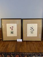 Pair of two professionally framed botanical prints with glass. Each print shows a different plant illustration, displayed side by side on the floor.