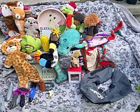 Wide shot of assortment of dog toys, ceramic dog bowl and dog figurine, dog collar, and various other dog-related items on a gray patterned blanket.