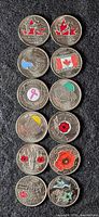 Photo showing a close-up of 13 different commemorative Canadian quarter coins, highlighting details of poppies, ribbons, Canadian flag, and other commemorative designs, arranged on a dark surface.