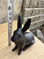 Side view of seated rabbit with measuring tape showing height around 11 inches