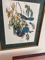 Close-up photo of the framed print featuring two Florida Jay birds on a branch with orange fruit, with green matting and gold trim on frame.