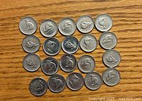 All 20 coins arranged showing rabbit designs on reverse side.