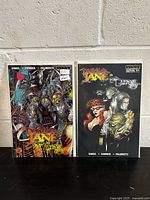 Two comic books standing side by side against a white wall background. The left comic shows a colorful, detailed cover with multiple characters and the title Painkiller Jane vs The Darkness. The right comic is a limited variant edition with a darker cover displaying stylized character artwork and the same title.