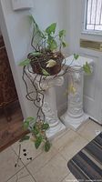 Two white decorative pillars with classical design, one holding a potted ivy plant with trailing vines near a glass door.