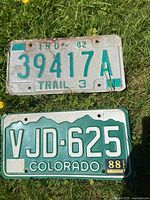 Both license plates lying on grass, showing front of each plate clearly.