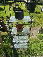 Front view of tall wrought iron plant stand with 4 glass shelves, black pot on top, terra cotta pot on second shelf, standing on grass outdoors in daylight.
