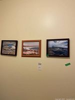 Three medium and small framed seascape photographs hung on wall showing rocky coasts and ocean scenes