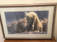 Framed print showing bison in natural setting, full view with matting and frame.