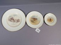 Three Royal Worcester hand painted plates arranged largest to smallest showing game bird artwork and gold rims