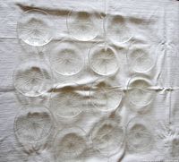 All fourteen clear glass plates arranged on a cloth surface, showing uniform size and pattern.