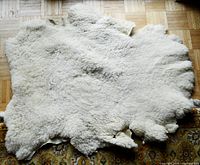 Full view of the sheepskin hide showing shape, texture, and condition on wooden floor