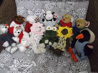 Photo showing the full collection of 11 TY Beanie Babies plush toys arranged on a floral-patterned cushion. Various animals including bears, frog, penguin, and cat, some wearing sweaters and costumes.