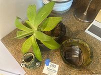 Top view of three planters on a brown countertop: a small green bamboo succulent in black panda planter, a greenish ceramic planter, and olive green aluminum round planter.