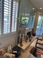 Full view of tall palm plant and planter near window with daylight, showing plant height and general condition.